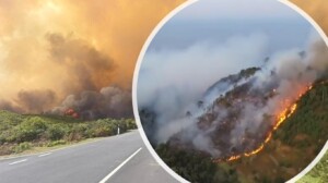 incendio madeira