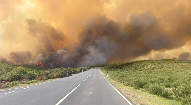incendio madeira