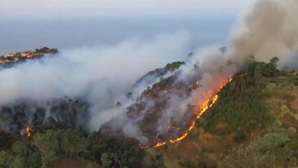 incendio madeira