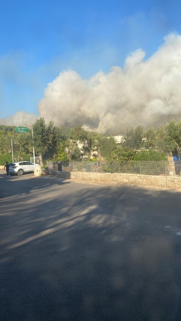incendio santa cesarea terme