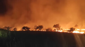 incendio tra minervino murge e andria