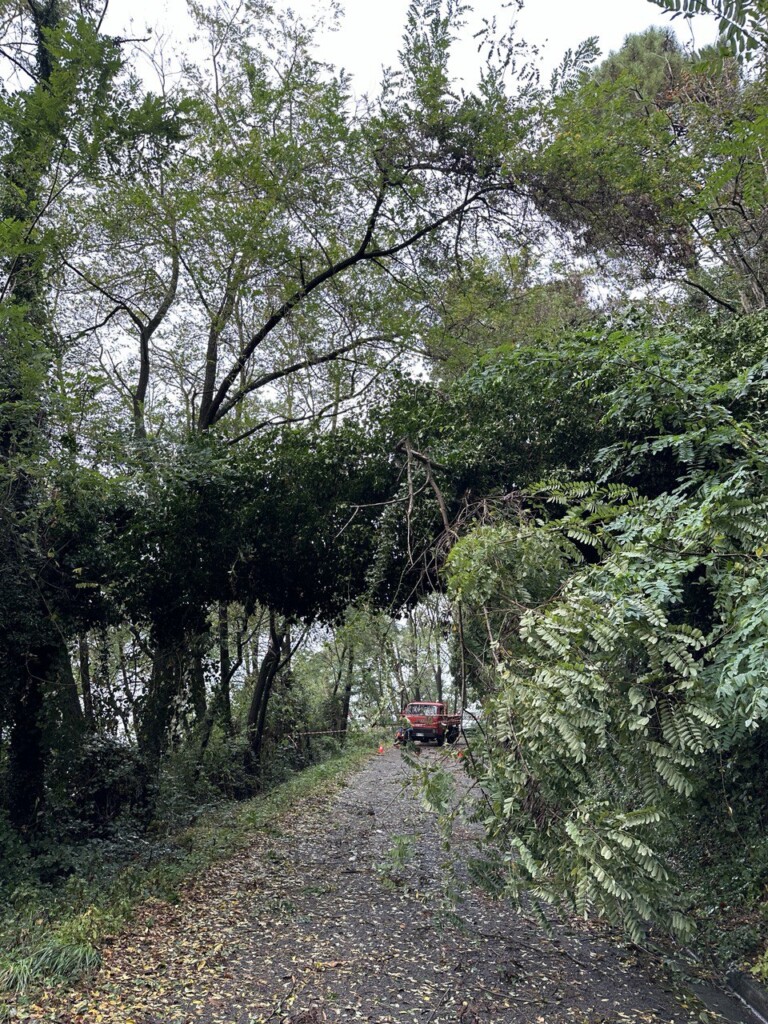 maltempo camaiore toscana