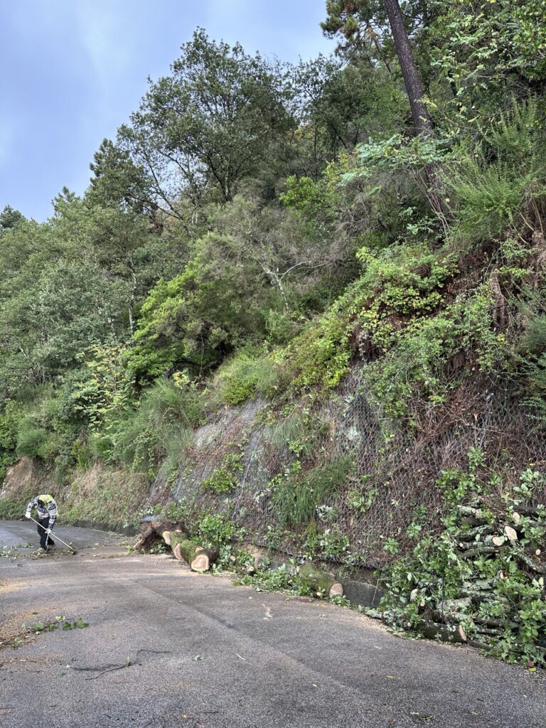maltempo camaiore toscana