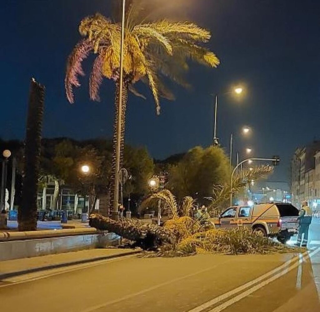 maltempo livorno