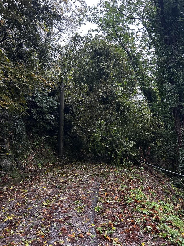 maltempo toscana