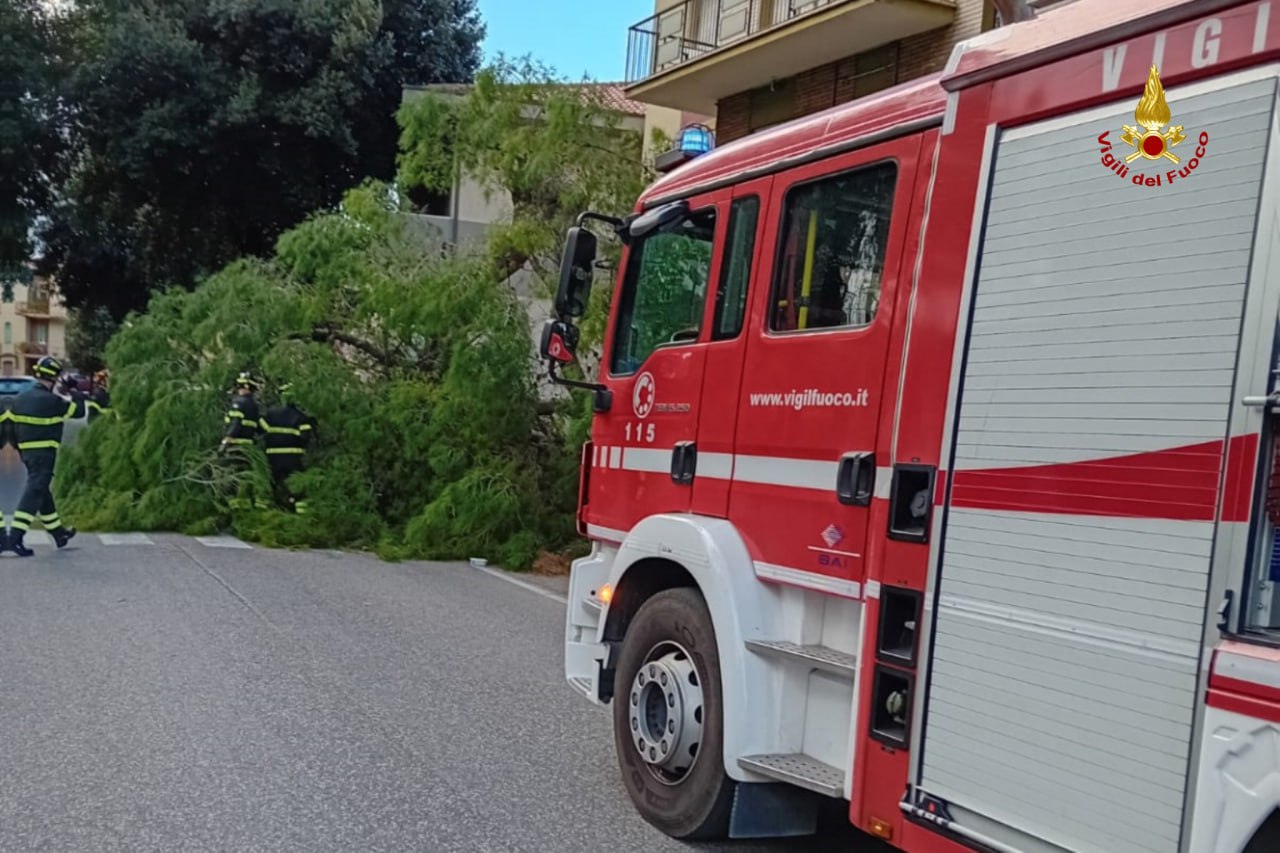 Maltempo Marche, forte vento a Pesaro: albero cade su un’auto, un ferito