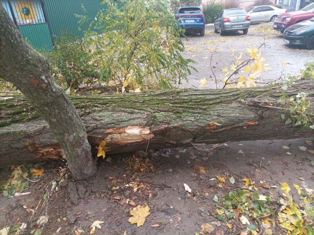 maltempo vento ucraina