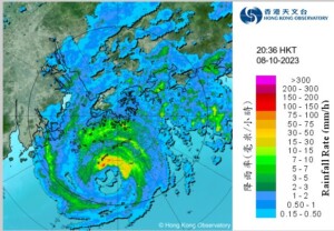 tempesta koinu hong kong