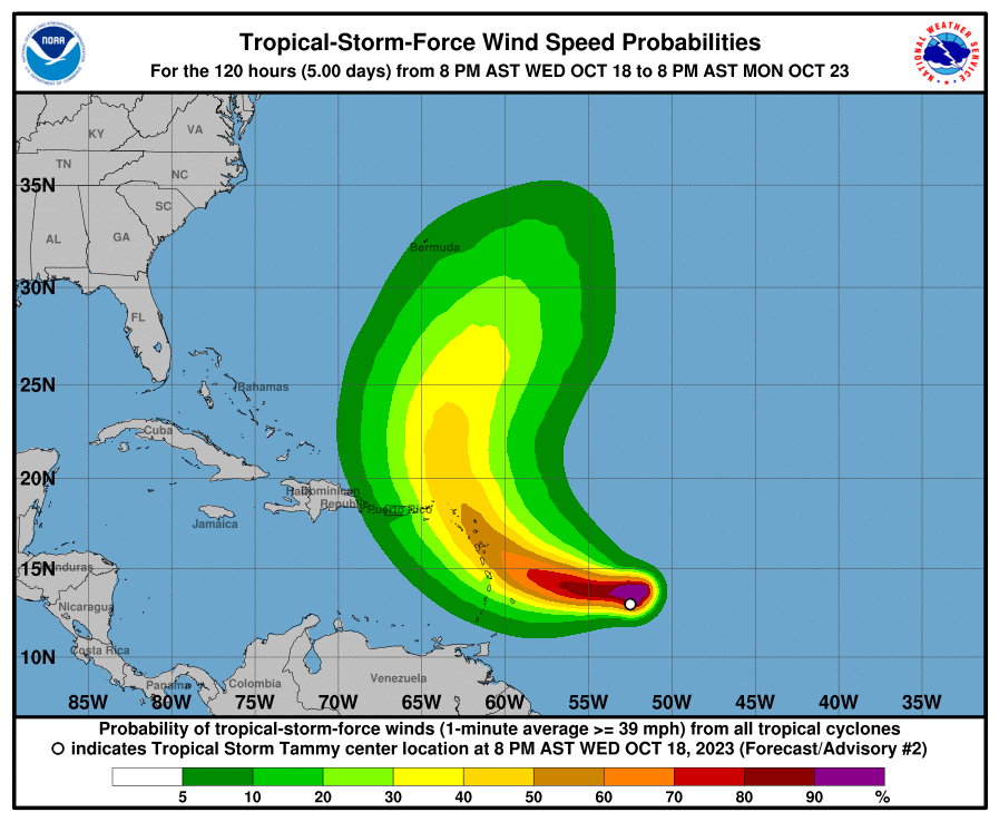 tempesta tammy