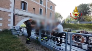 vigili del fuoco noventa padovana