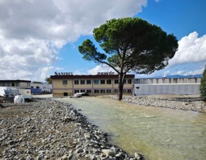 agna montale