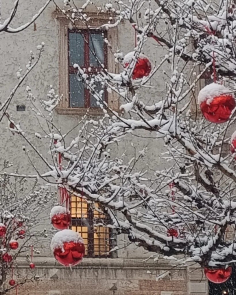 Neve Trento