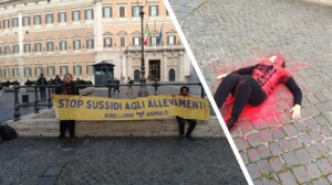 Ribellione Animale