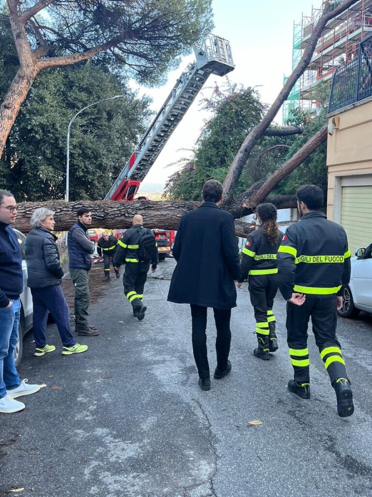 albero caduto roma