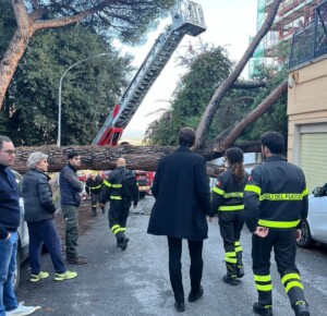 albero caduto roma