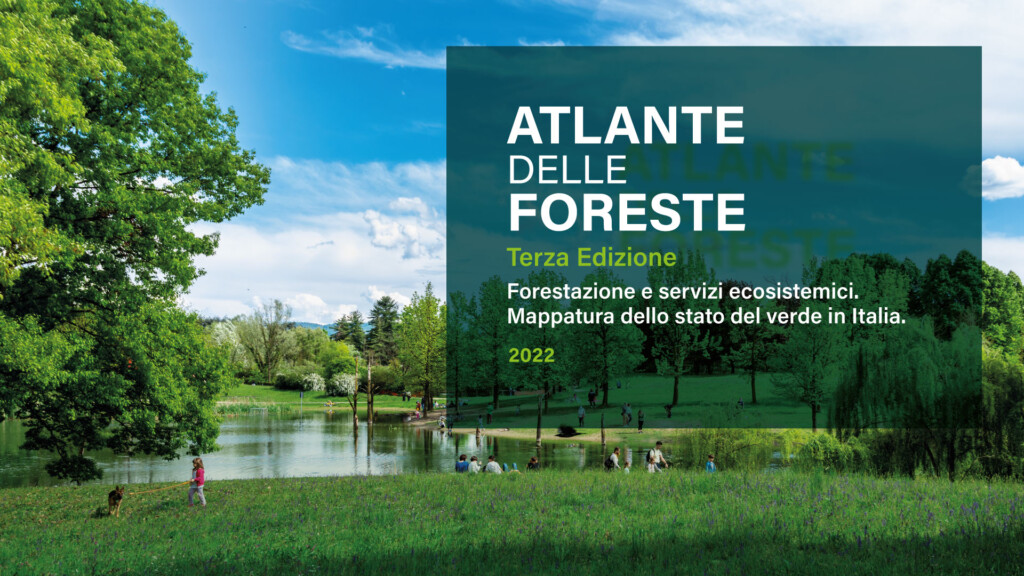 atlante delle foreste