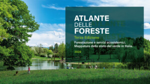 atlante delle foreste