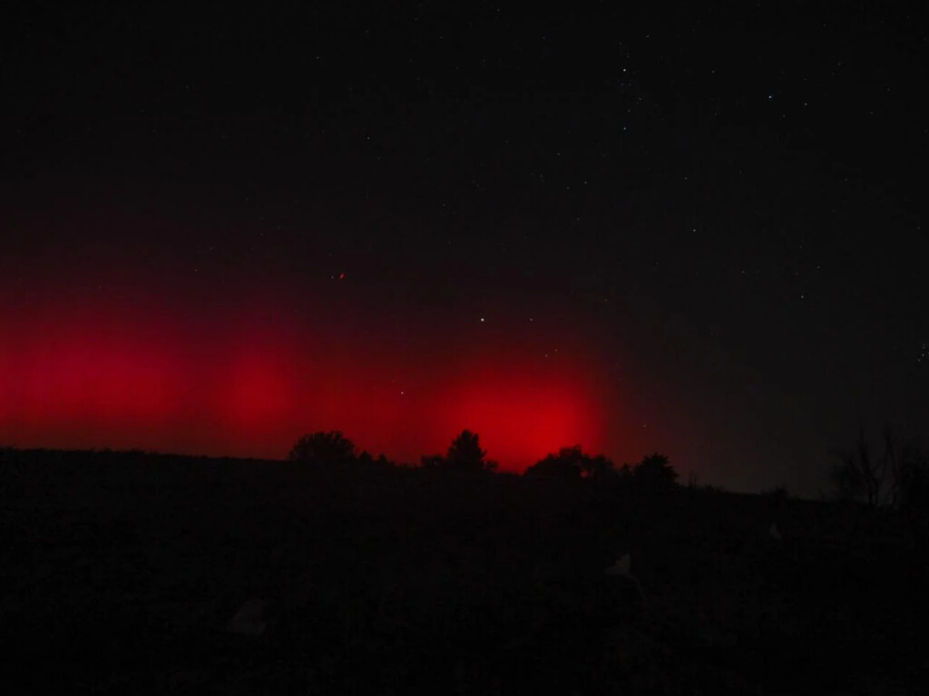 aurora senigallia