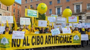 cibo artificiale