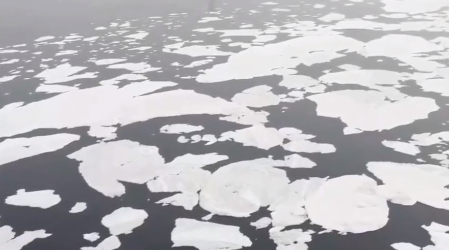 delhi schiuma tossica fiume Yamuna