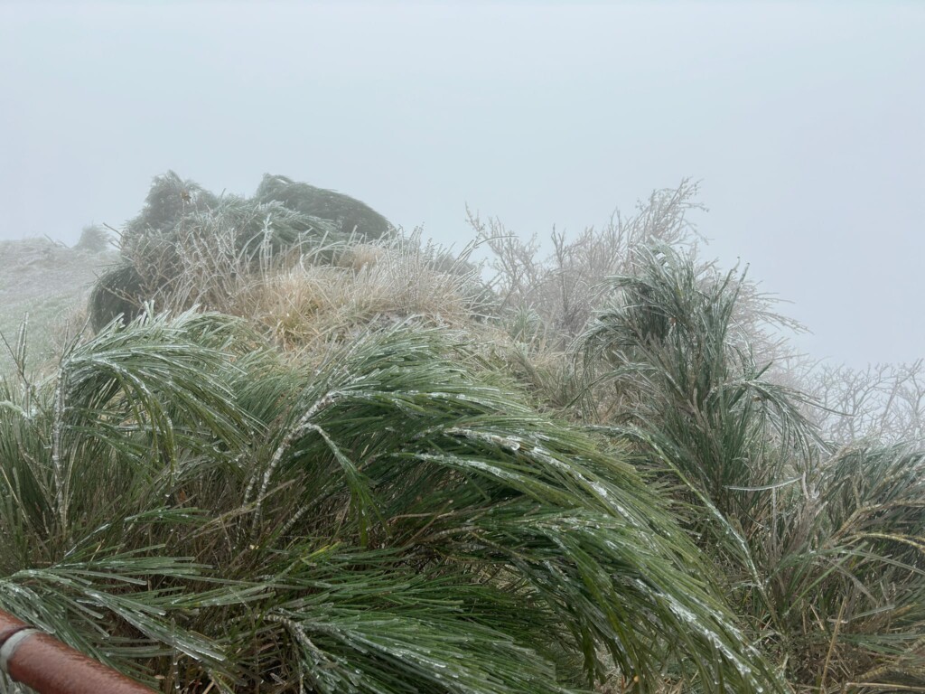 gelicidio liguria passo del faiallo genova