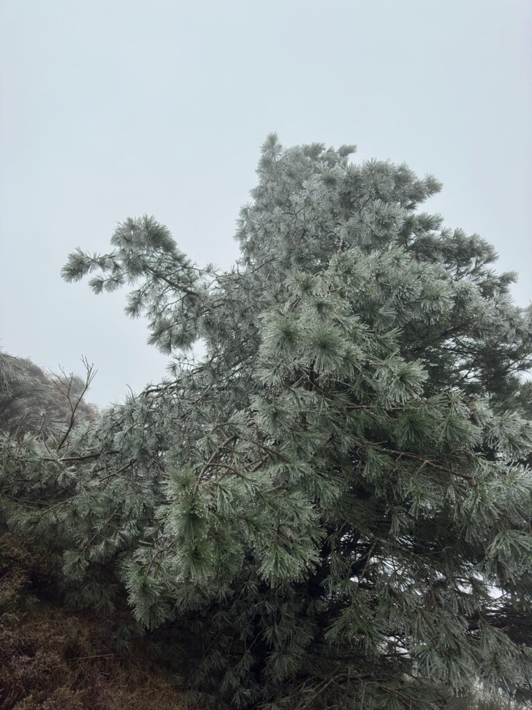 gelicidio liguria passo del faiallo genova