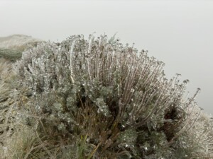 gelicidio liguria passo del faiallo genova