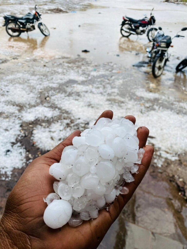 grandine gujarat india