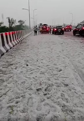 grandine gujarat india