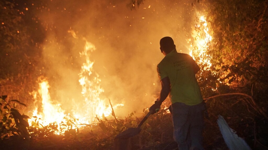 incendi bolivia