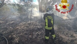 incendi sardegna