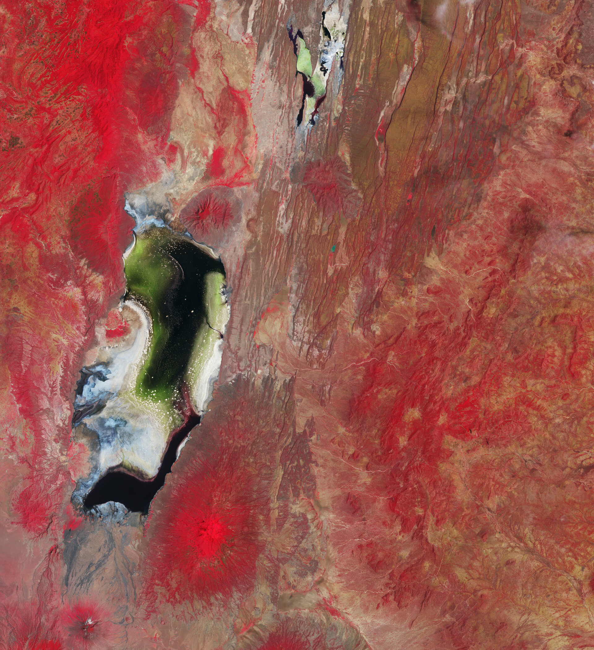 laghi salati kenya tanzania