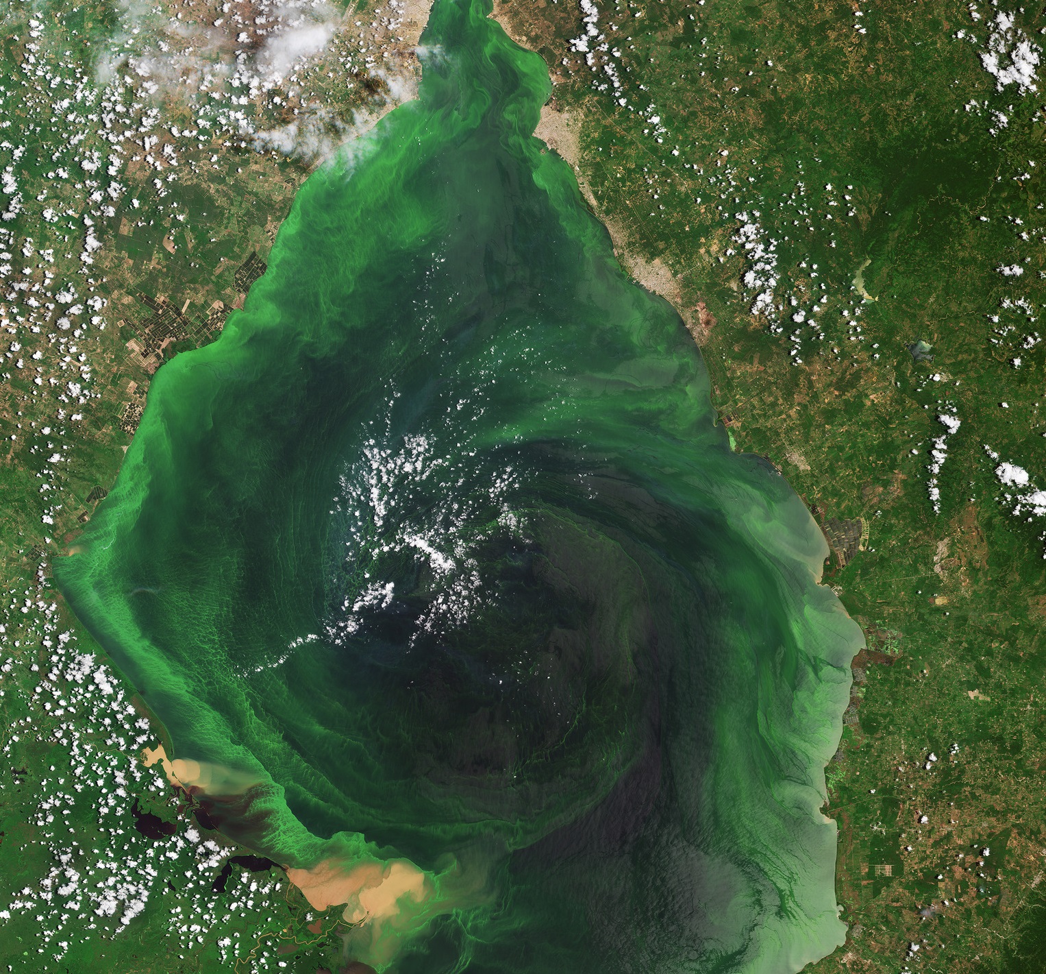 Lago de Maracaibo en Venezuela visto desde el espacio