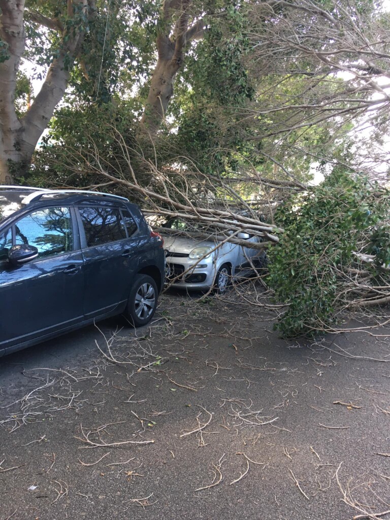 maltempo palermo vento forte