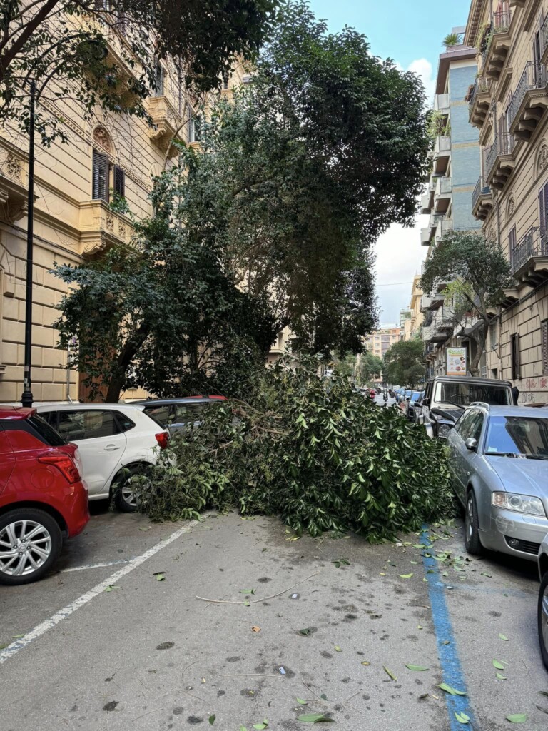 maltempo palermo vento forte