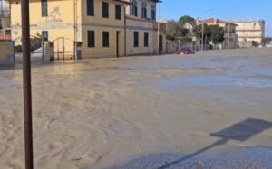 marina di pisa