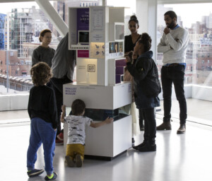 micromusei