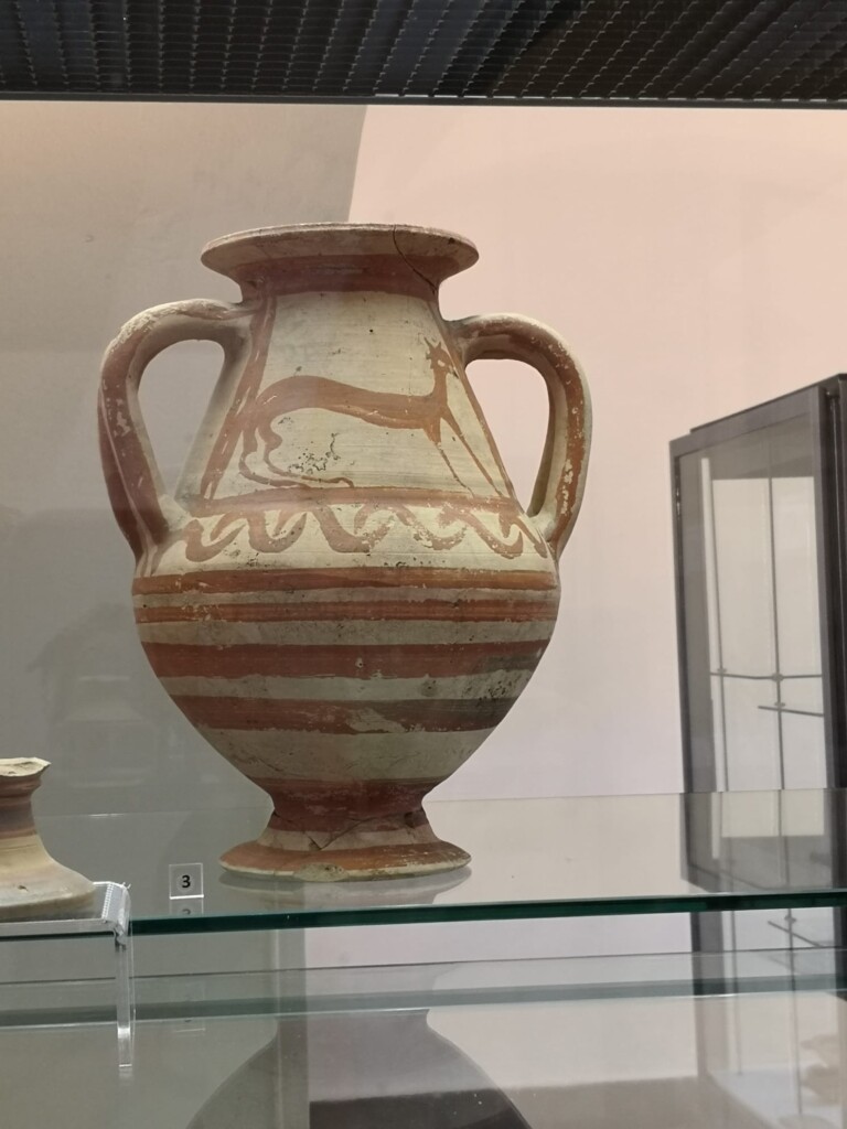 museo acerra
