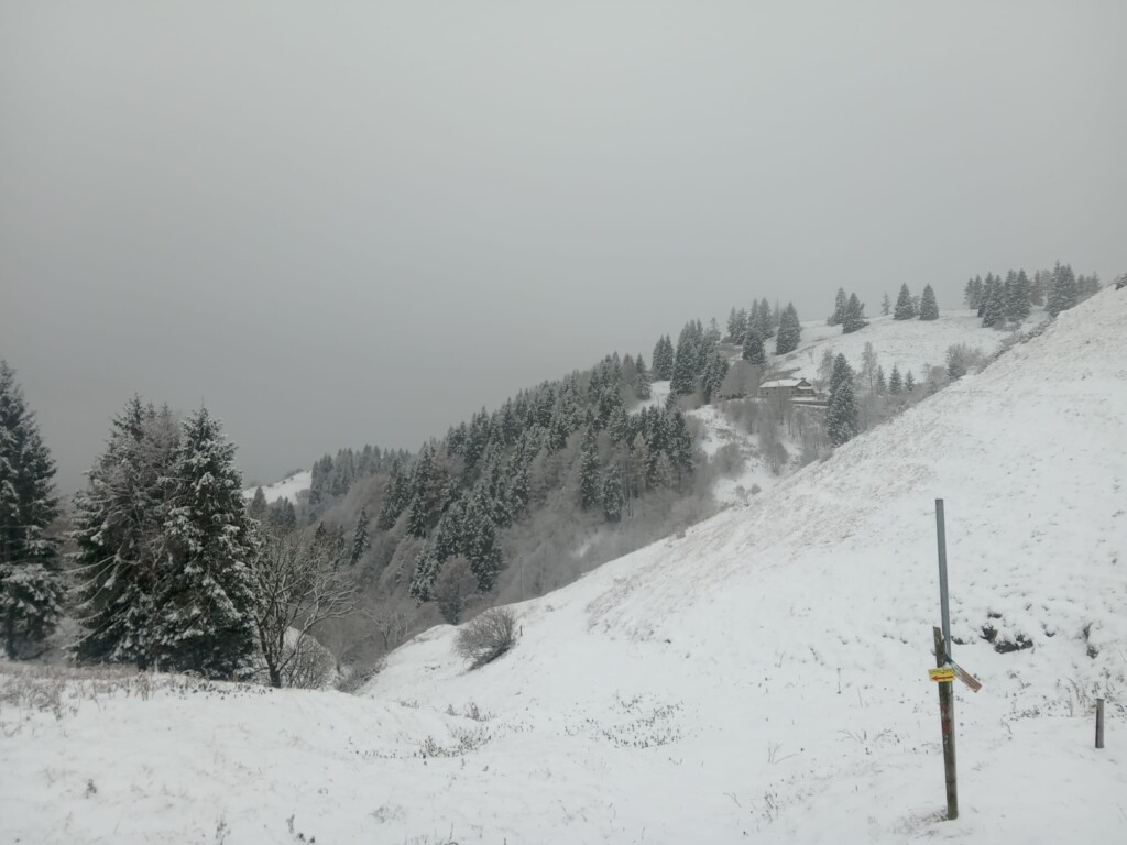 neve Pian delle femene veneto