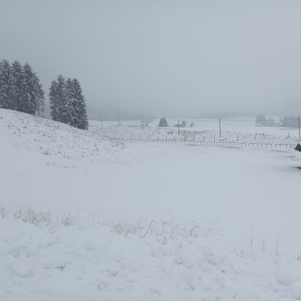neve cansiglio