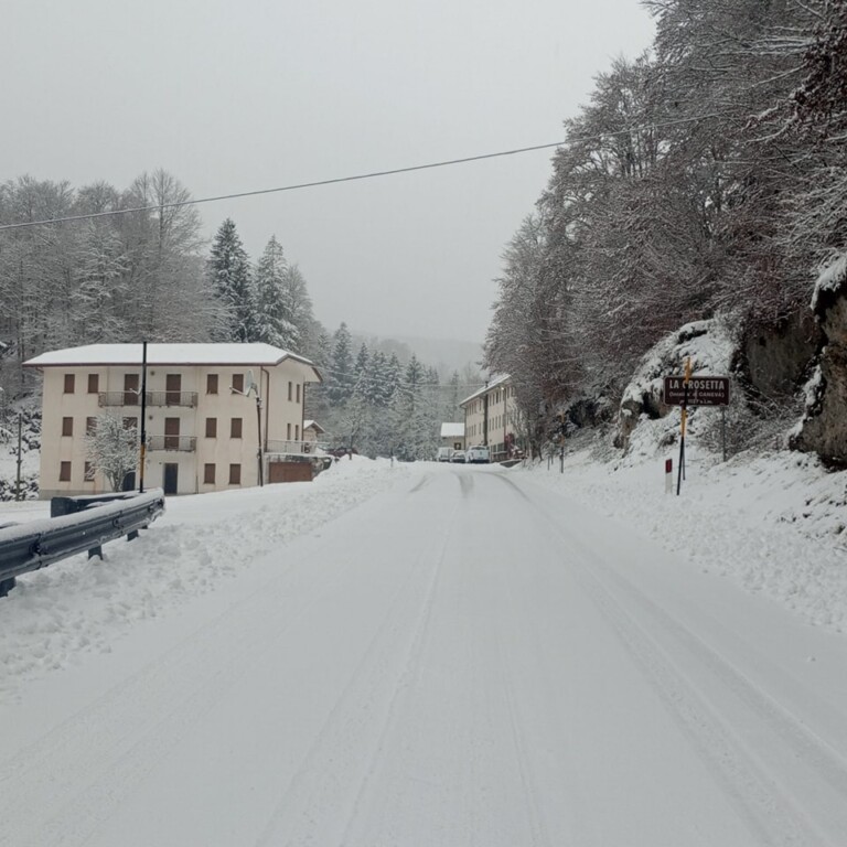 neve cansiglio