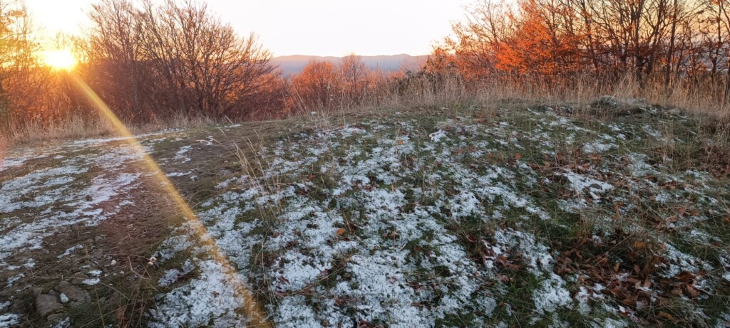 neve sila