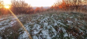 neve sila