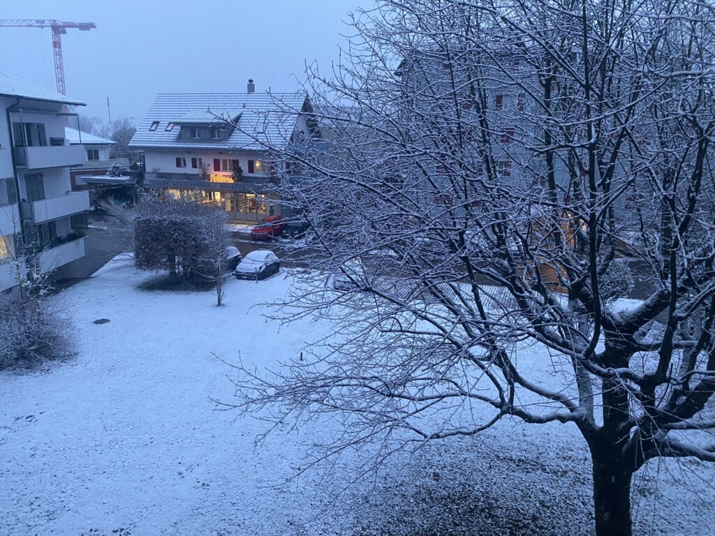 neve zurigo oggi