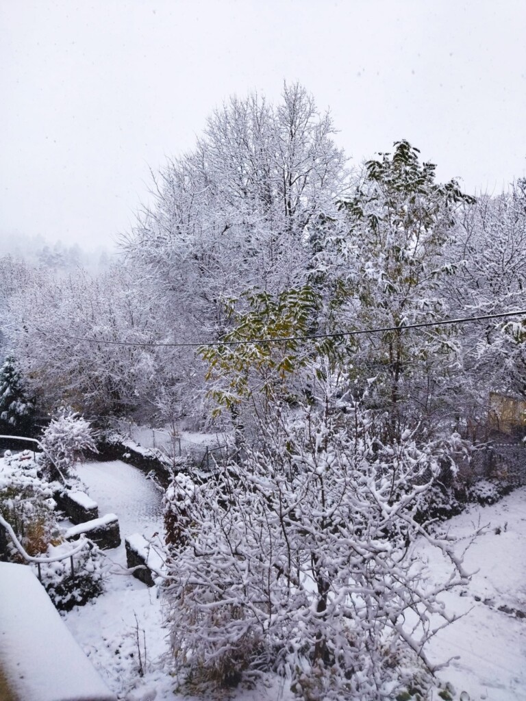 neve zurigo oggi