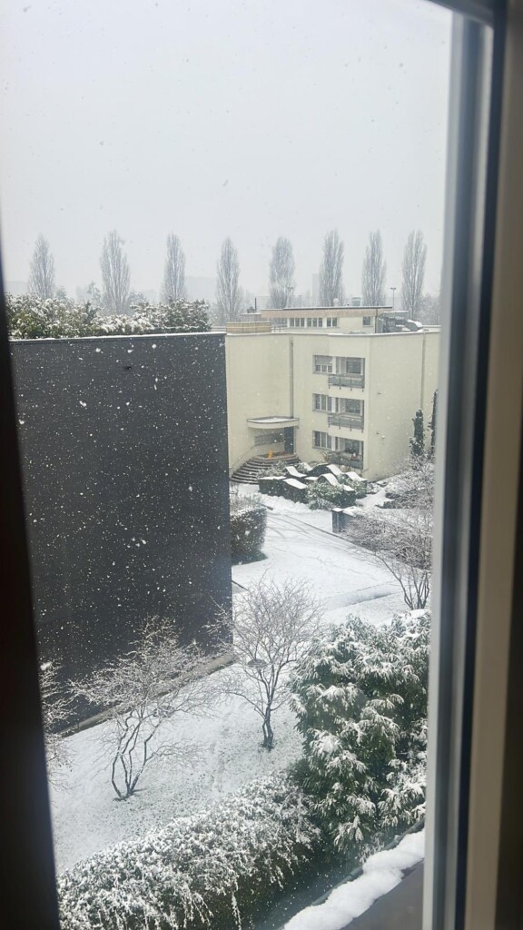 neve zurigo oggi