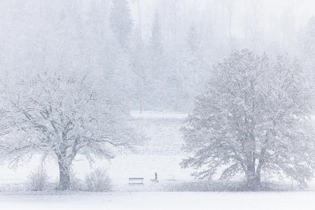 neve svizzera zurigo