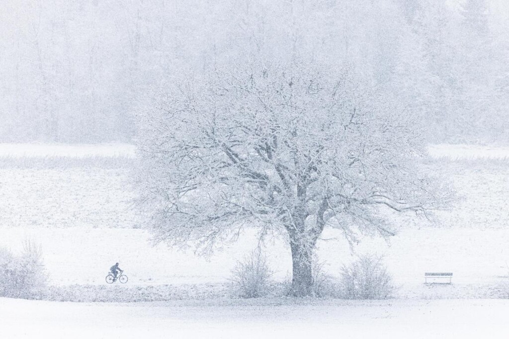 neve svizzera zurigo