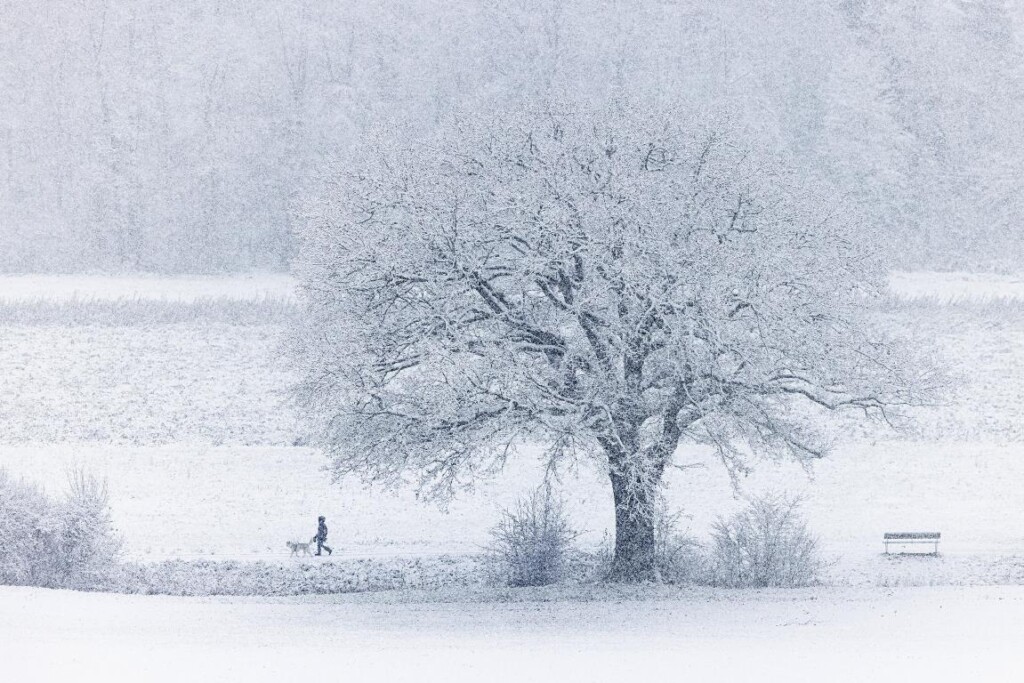neve svizzera zurigo