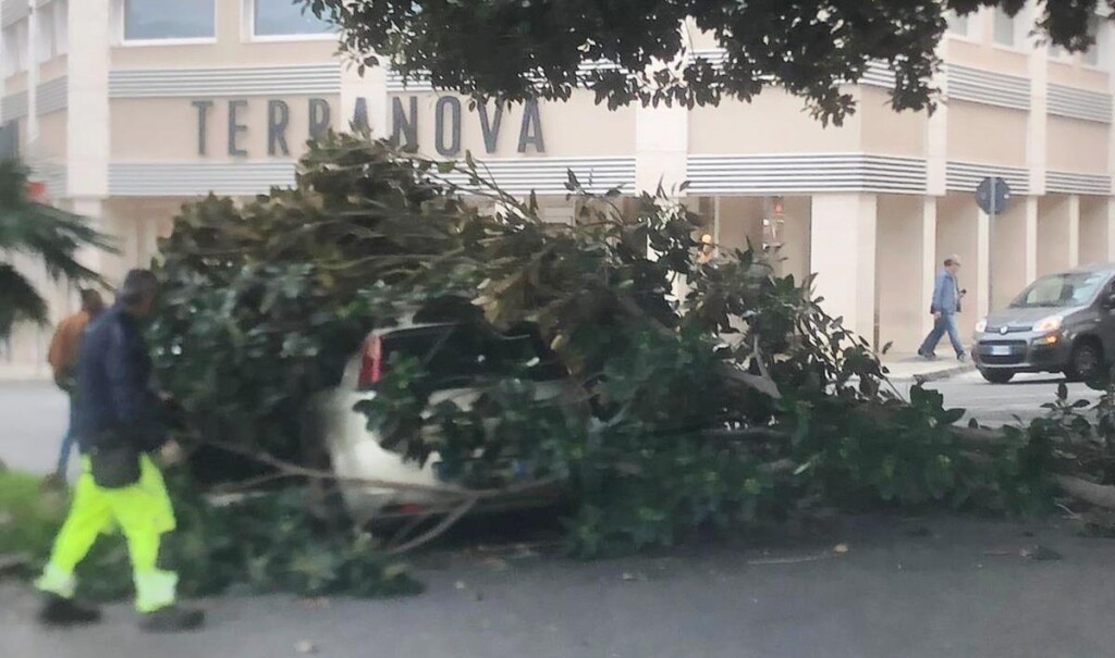 reggio calabria ramo auto